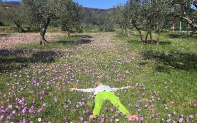 Apprezzamento, il prato dove sbocciano i desideri