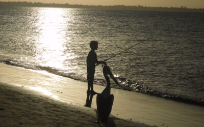 Lo scopo dell’educazione è la gioia